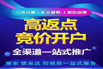 百度推广运营实战：成功案例解析